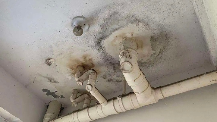 刺激！现场拆解“注浆堵漏”全过程，5分钟堵住涌水？